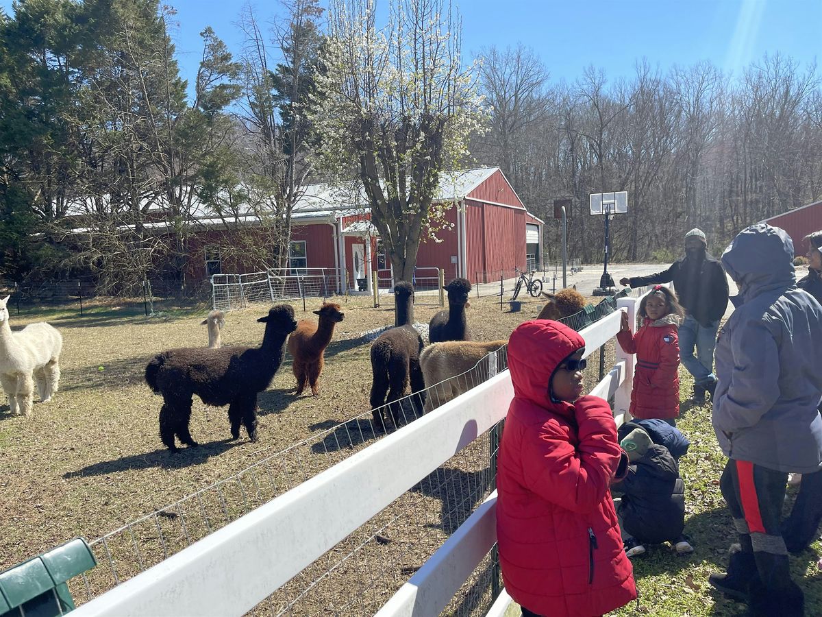 2nd Annual Winter Wonderland Extravaganza on the Farm