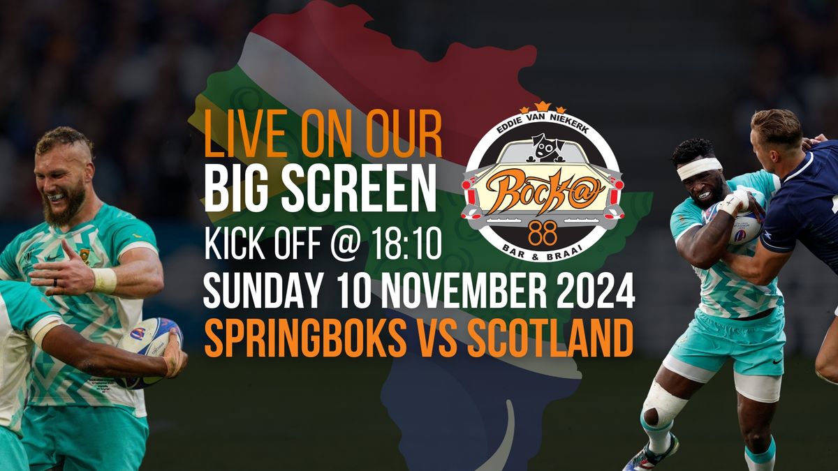 Springboks vs Scotland