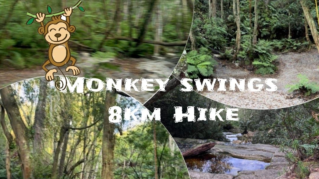 Monkey swings 8km Hike