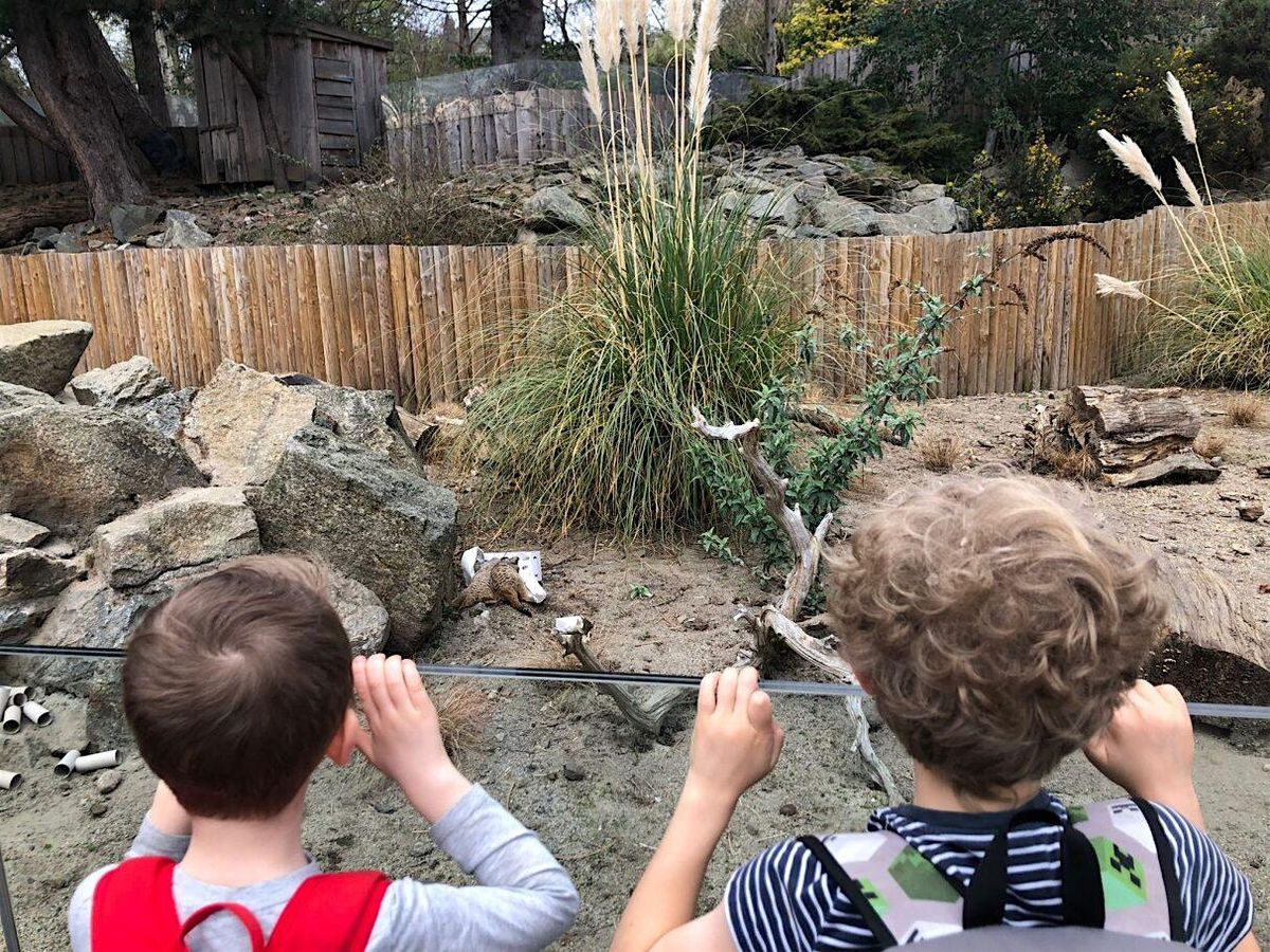 RZSS Autumn Explorers 2025 - Edinburgh Zoo