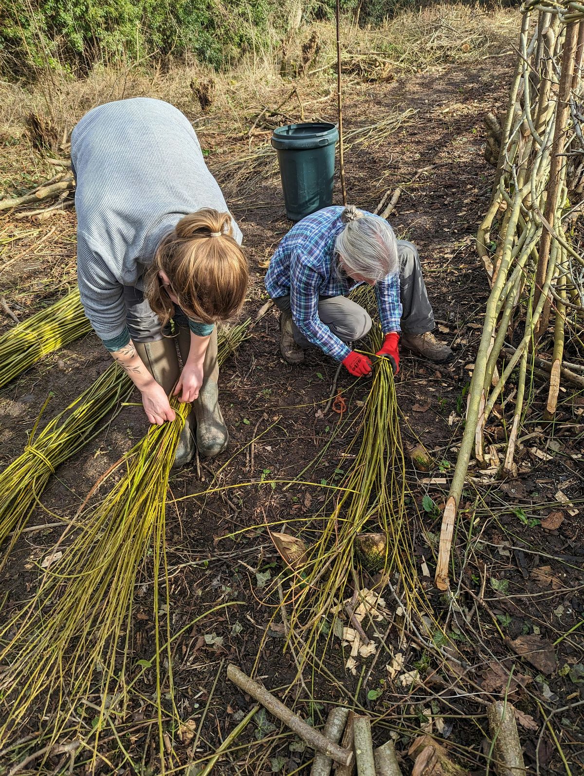 Volunteering @ Oilhouse Willow Bed