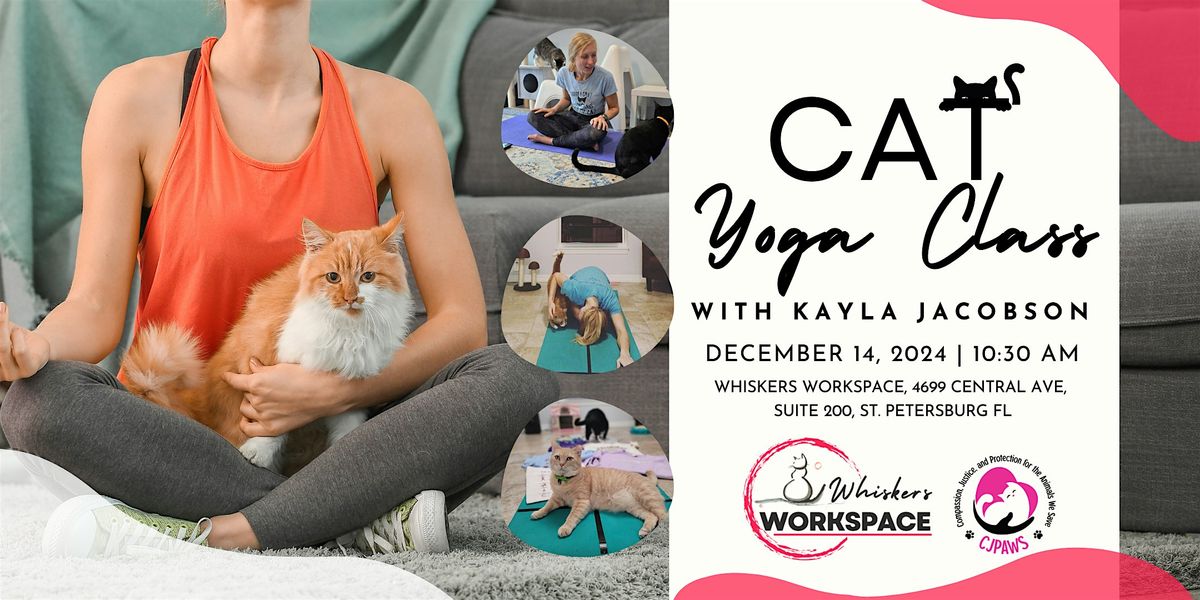 Cat Yoga Class with Kayla Jacobson