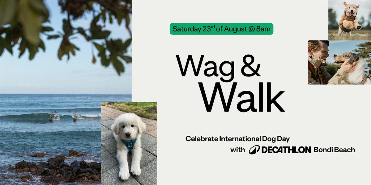 Wag & Walk: Decathlon Dog Walk Club