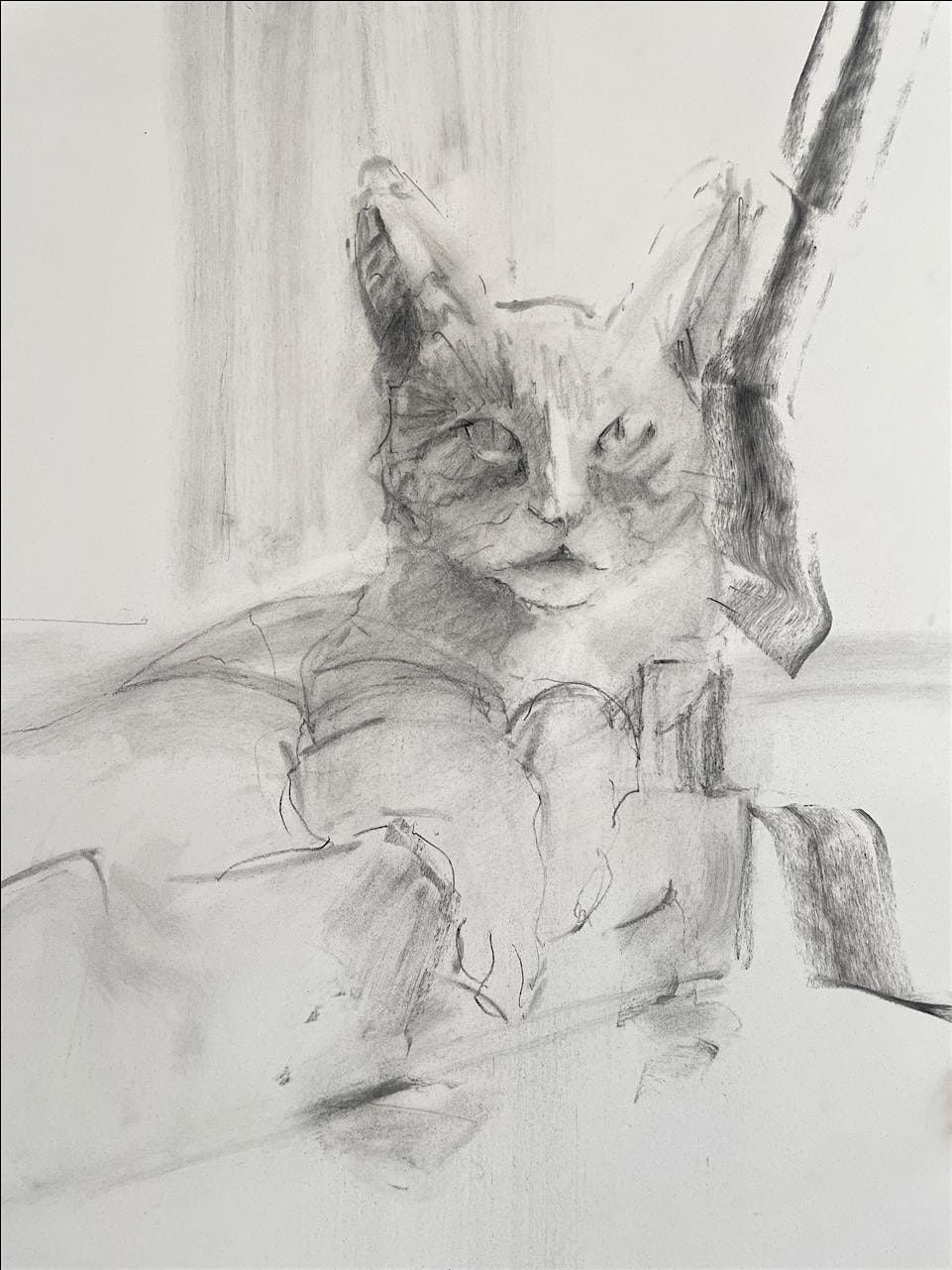 Charcoal Portraits of Your Pet Workshop