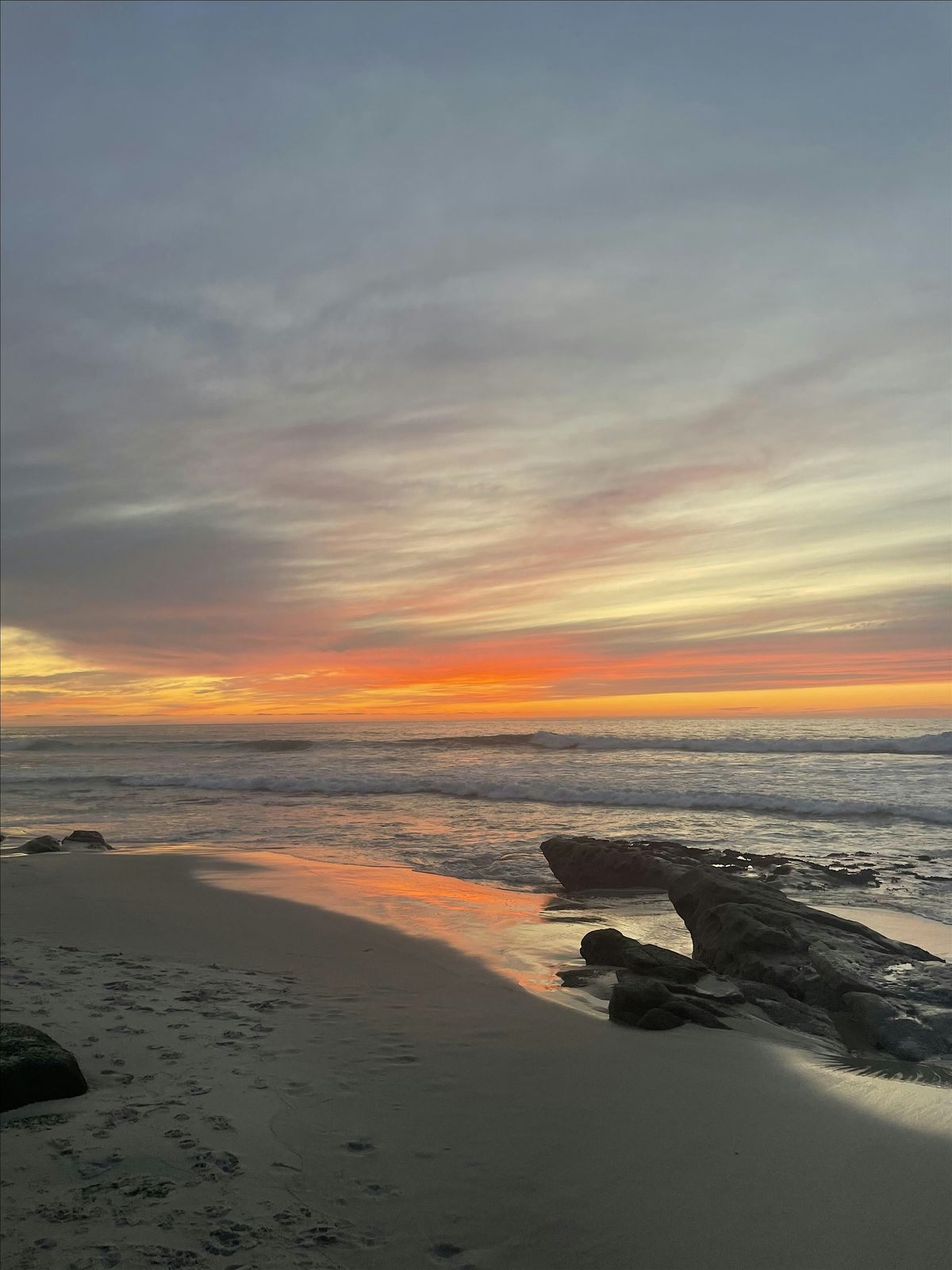 San Diego Science and Nature- Beach Cleanup OB