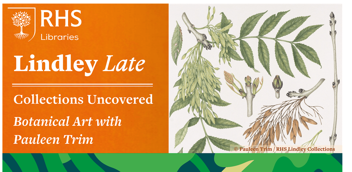 Lindley Late - Collections Uncovered: Botanical Art with Pauleen Trim