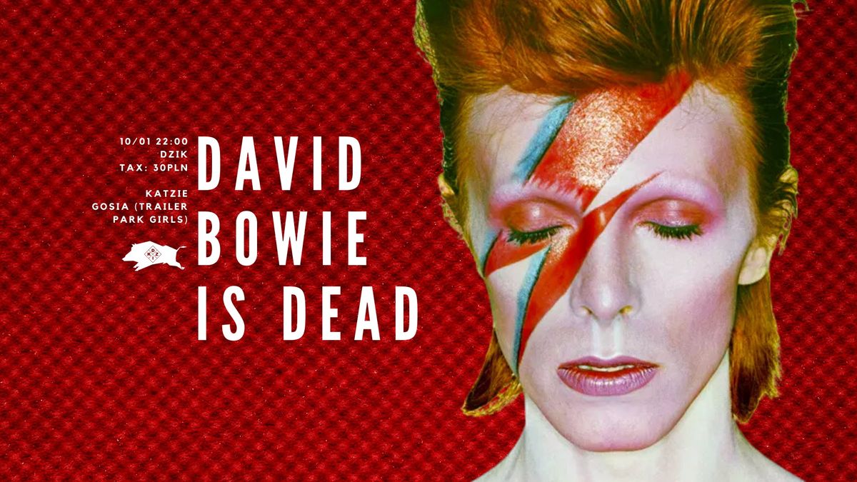 \u21af DAVID BOWIE IS DEAD \u21af Katzie & Gosia