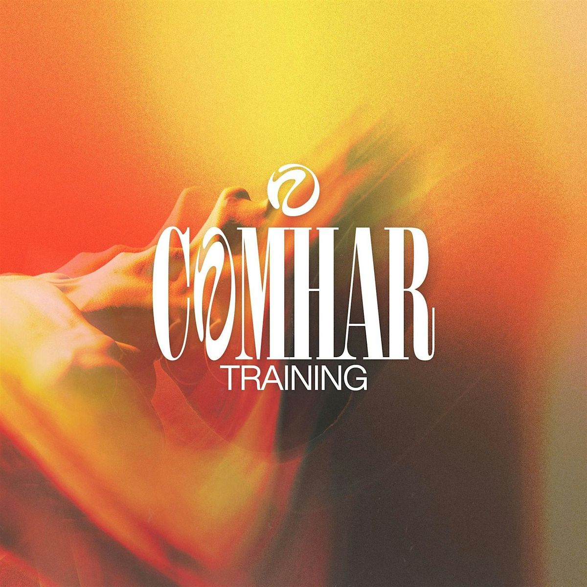 Comhar Training Workshop Day Intensive