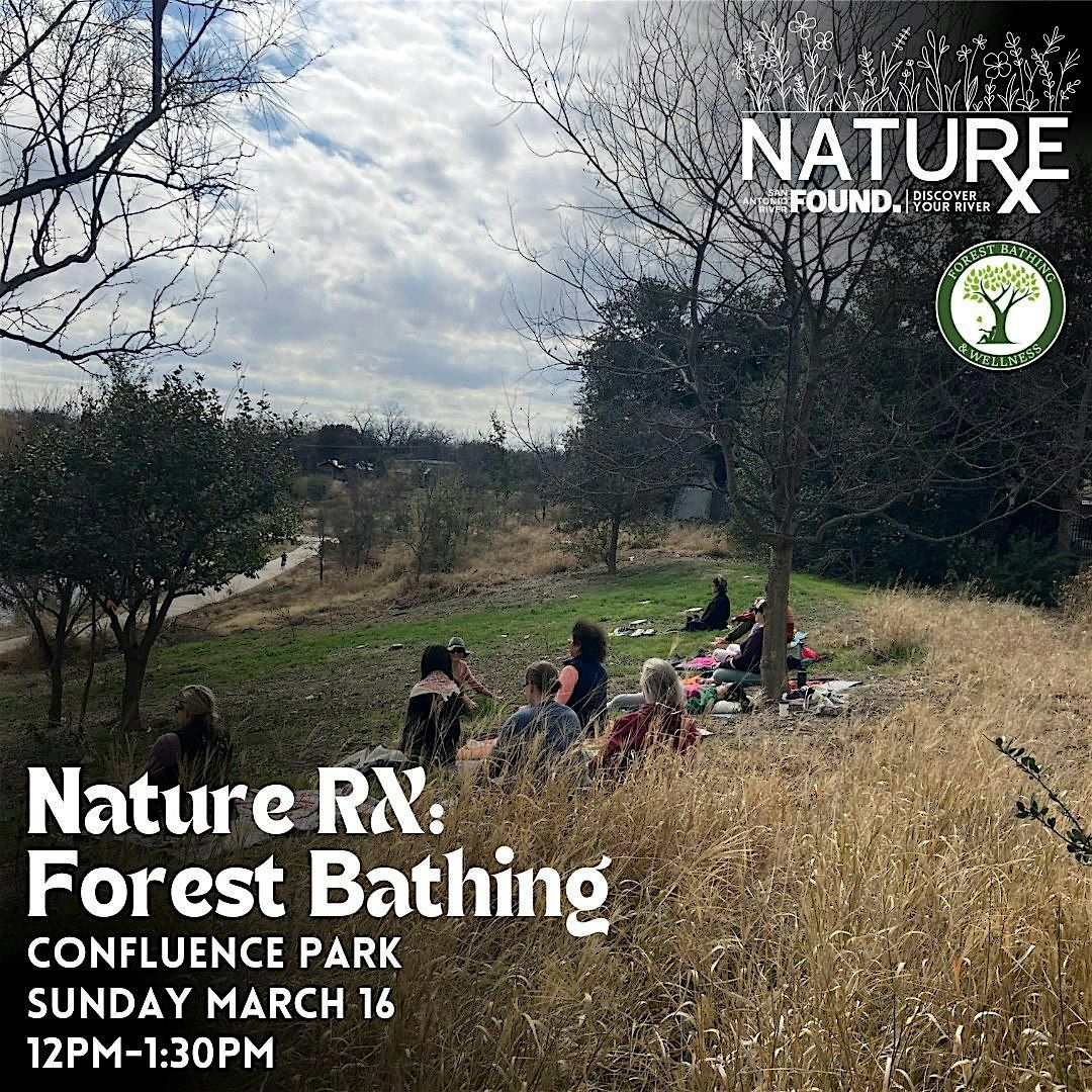 Nature Rx: Forest Bathing at Confluence Park