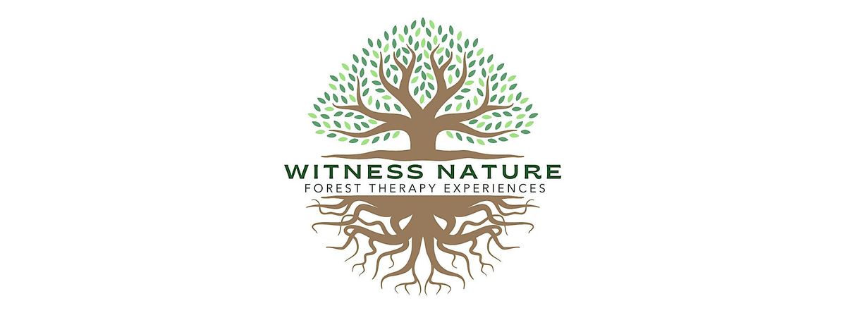 Forest Therapy: Gathering in Nature