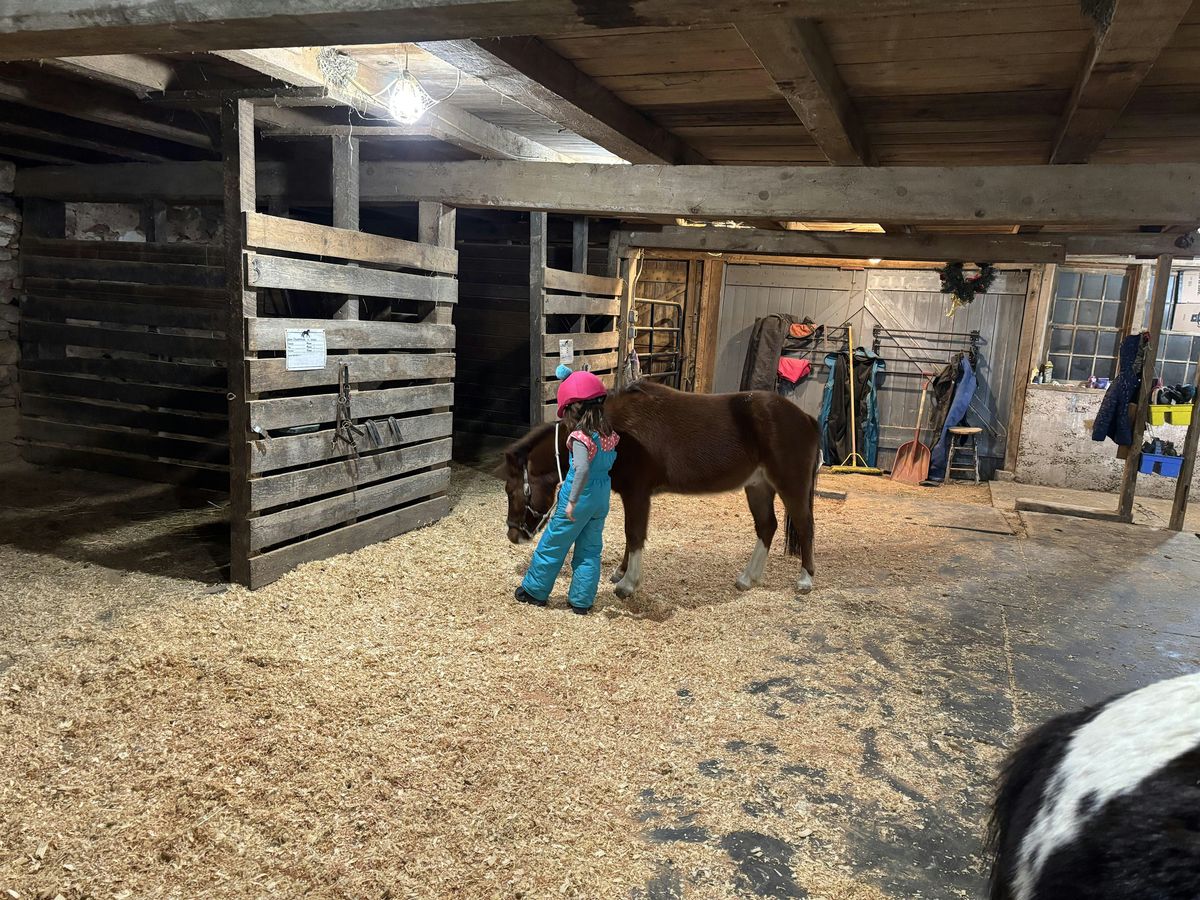 Pony Preschool Winter-Minis