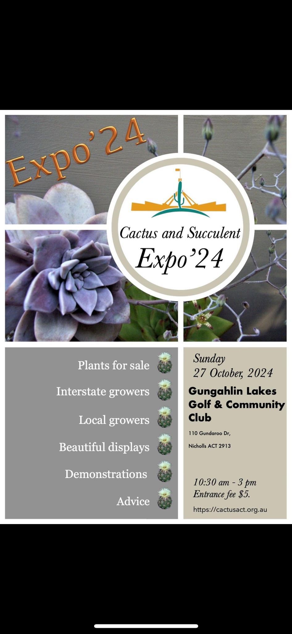 Cactus & succulent EXPO