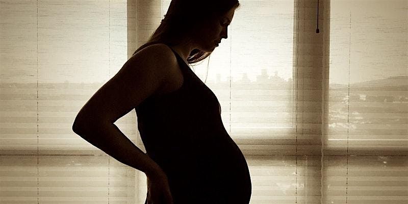 In Person Prenatal Individual Workshop: Labour and Delivery with Ella