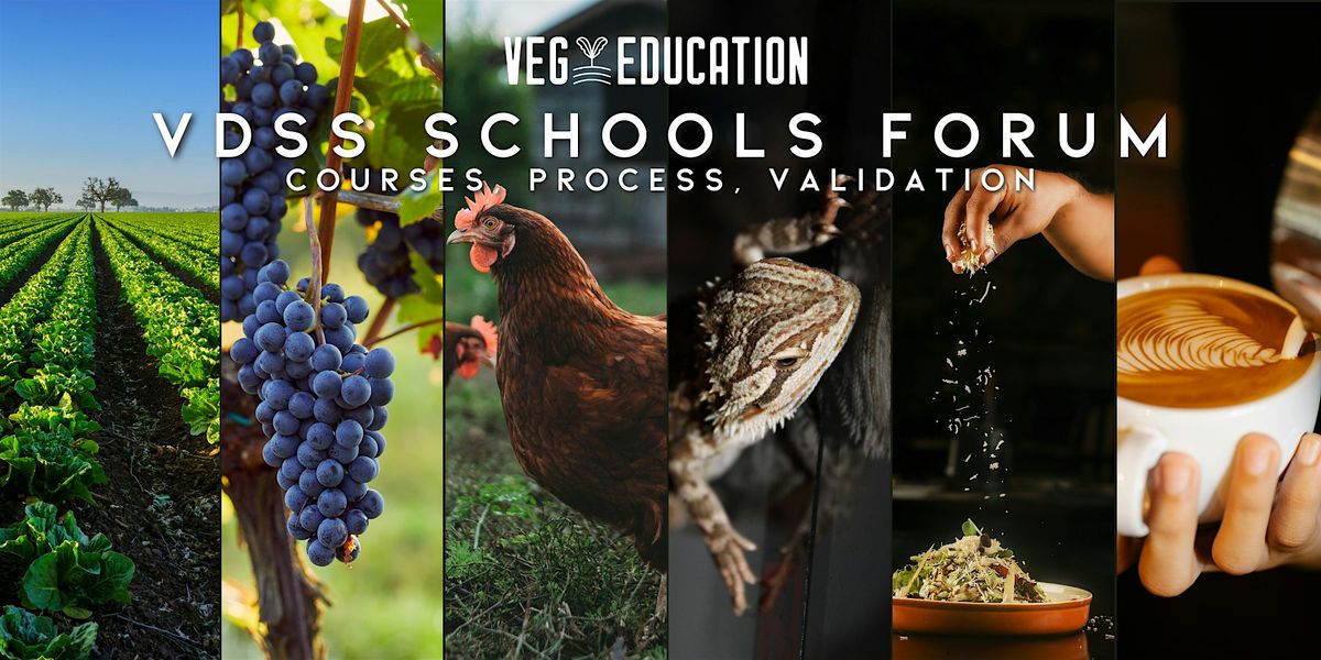 VDSS Schools Forum