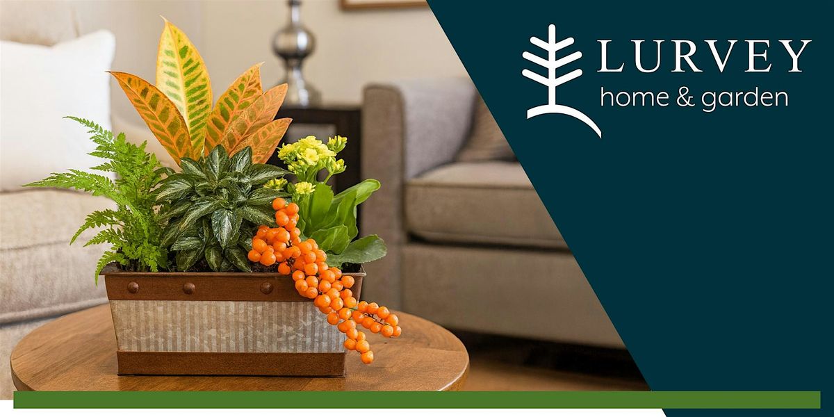 Fall Indoor Tabletop Garden Class