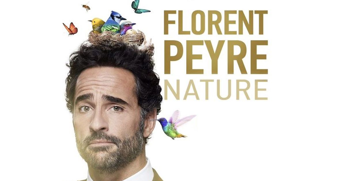 Florent Peyre \u00b7 Th\u00e9\u00e2tre S\u00e9bastopol, Lille \u00b7 01\/11\/24