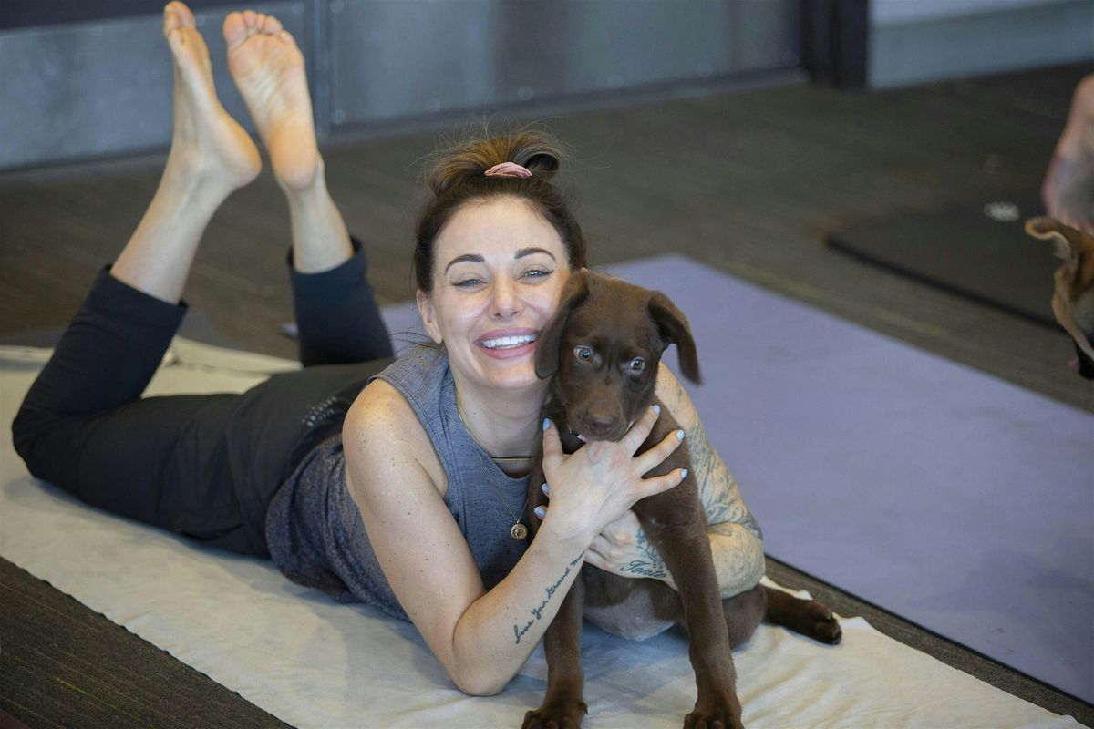 Puppy Yoga Event at BrewDog Cleveland