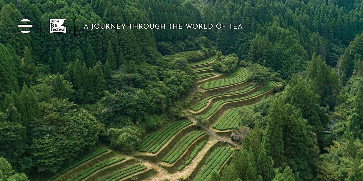Berlin Tea Week: A Journey Through the World of Tea with Yoshi en