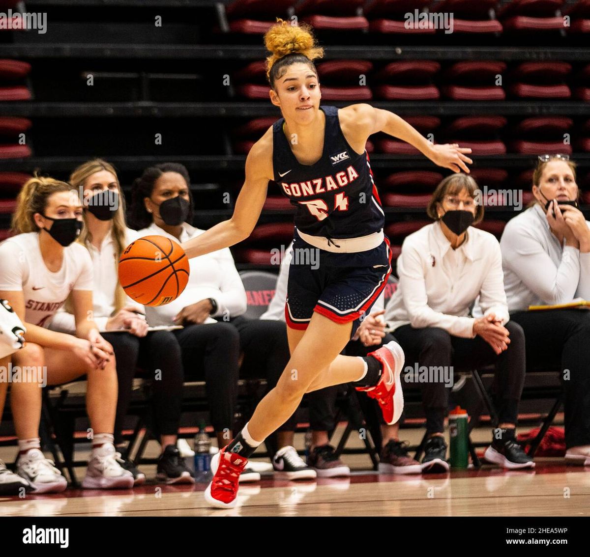 Stanford Cardinal Women's Basketball vs. Gonzaga Bulldogs