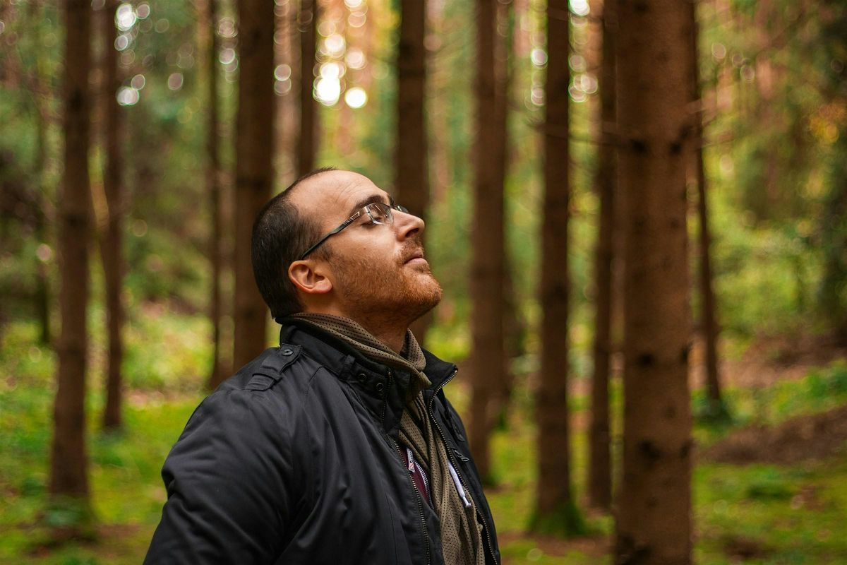 ***EXTENDED SESSION*** Unwind in the Woods: forest bathing at Salcey