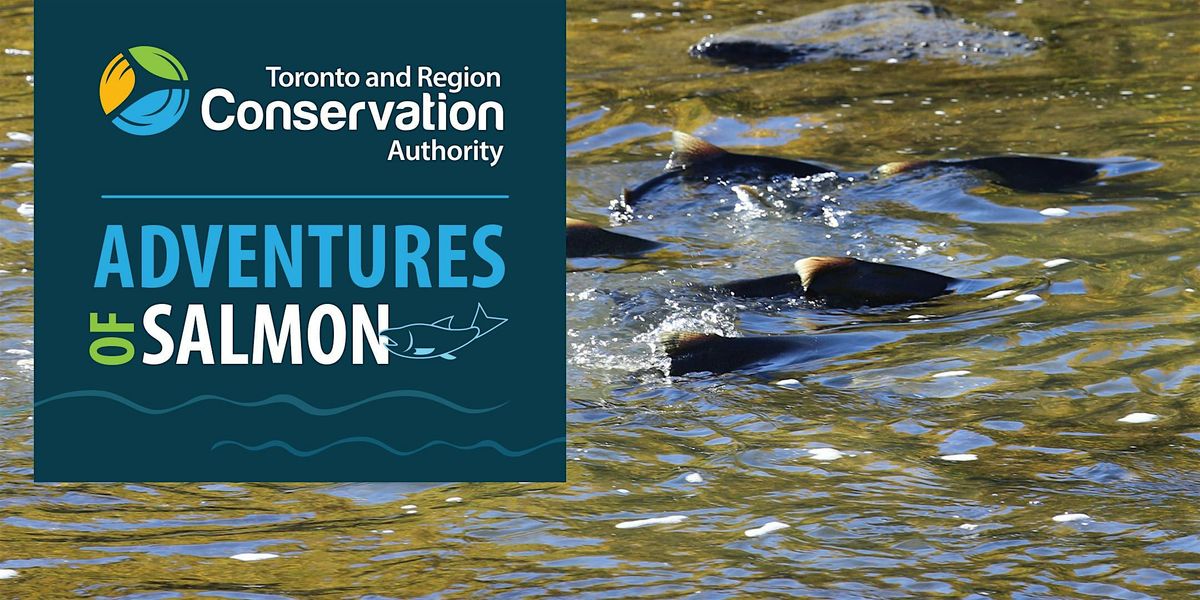 Salmon Walk at Raymore Park