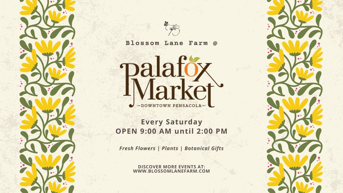 Blossom Lane Farm @ Palafox Market
