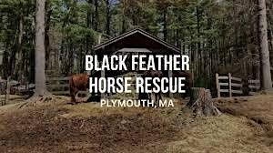 Haunted Hike to the Horses