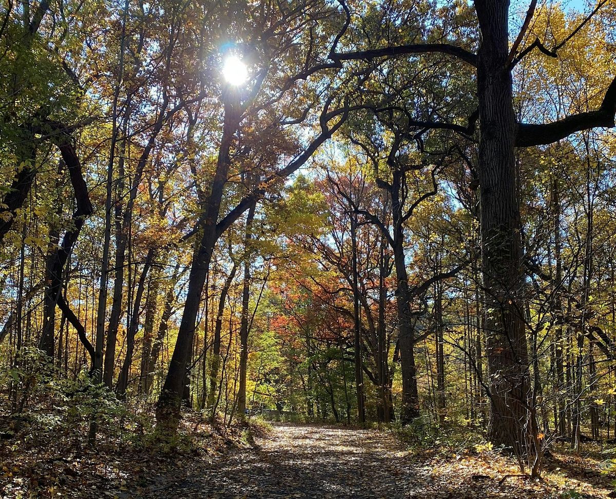 Discover Van Cortlandt Park: An Autumn Hike & Forest Exploration