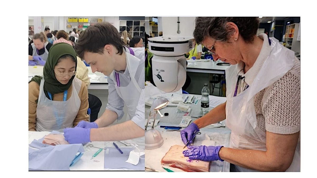 St John's DermAcademy Skin Biopsy Course 2026