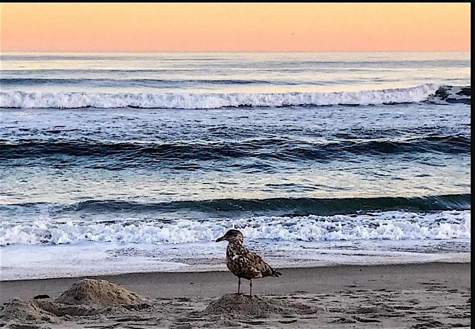 Sunday Sanctuary - Reiki in Rockaway, NYC