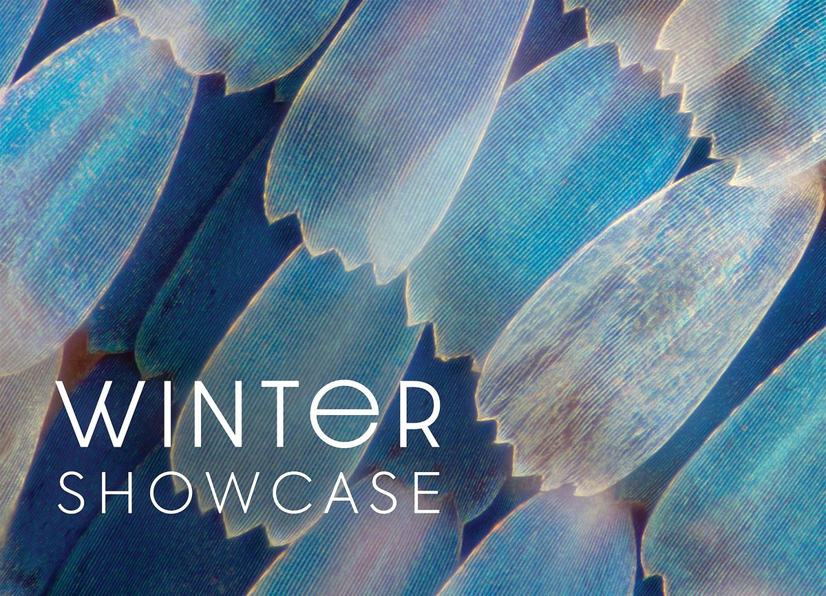 National Children's Chorus: DC Winter Showcase