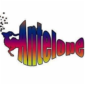 Antelope A Tribute to Phish (Free Show)