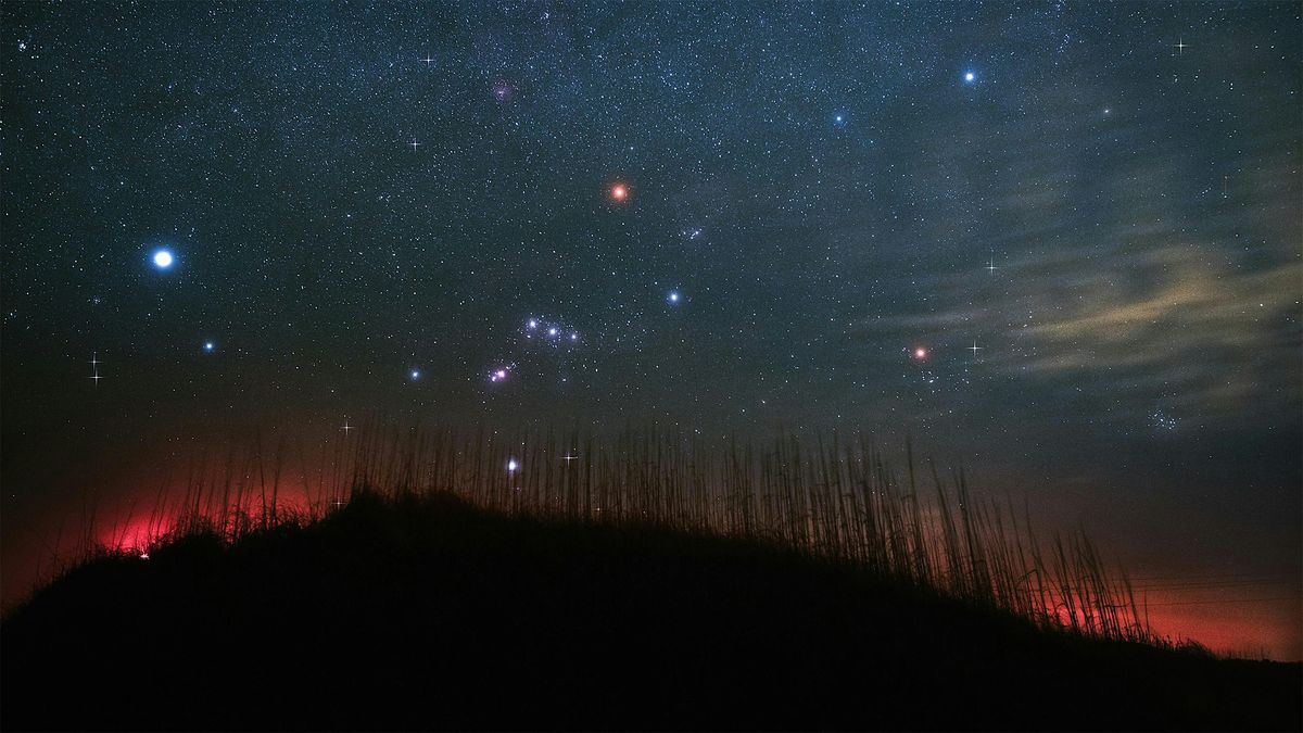Advanced Night Sky Capture \/ Return Of Orion \/ Nightscapes