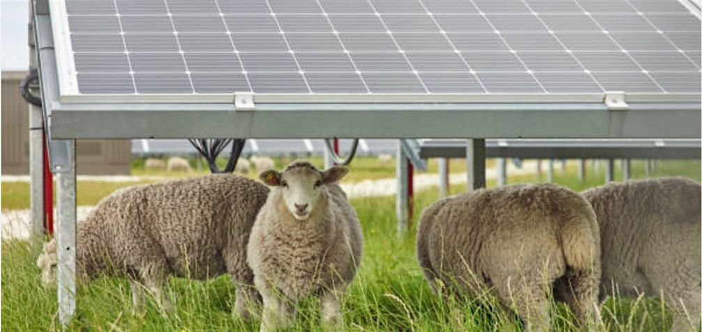 Making Solar Work for Farms while Protecting Farmland