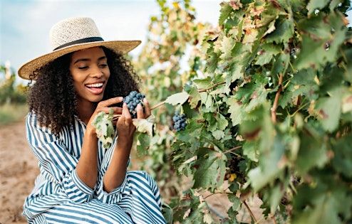 Sips & Sunshine: A Bougie Day in Wine Country