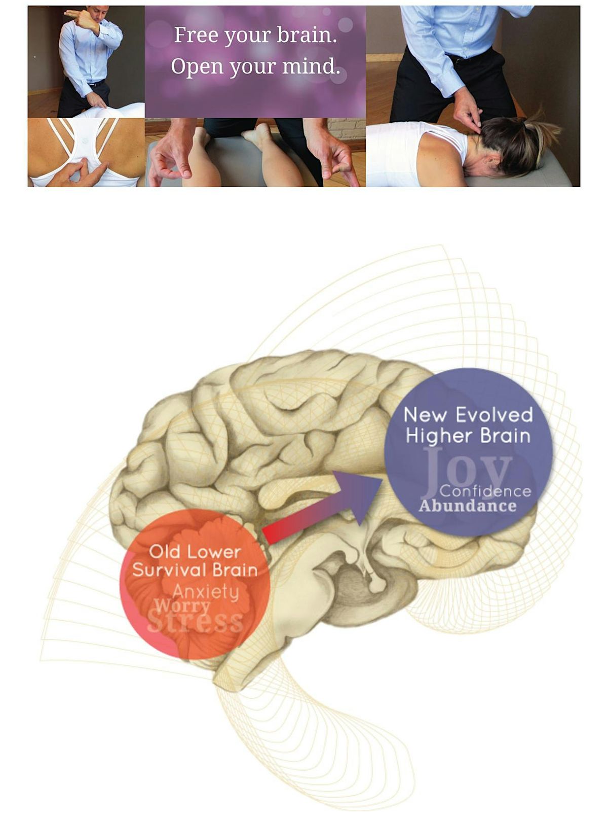 Higher Brain Living Activation