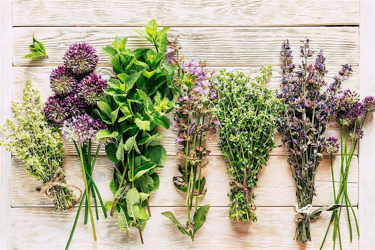 Transition from Winter to Spring with Herbs