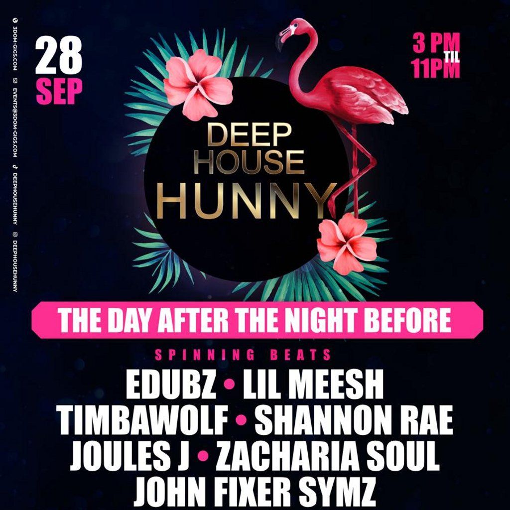 DEEP HOUSE HUNNY - The Day After, The Night Before