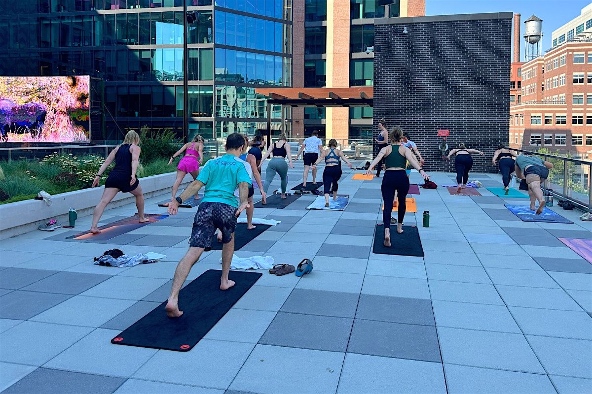 Terrace Vinyasa