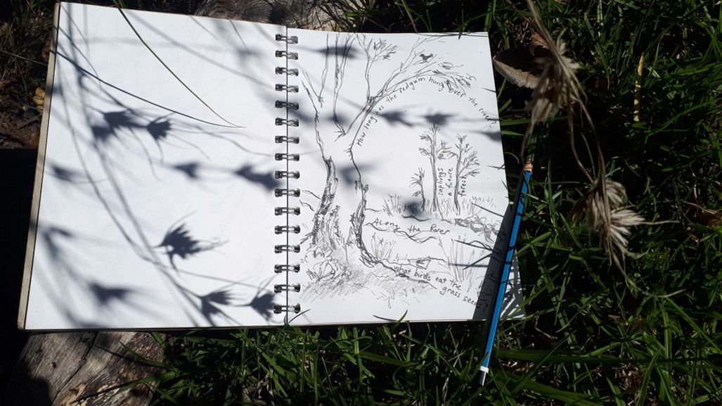 Nature Journaling