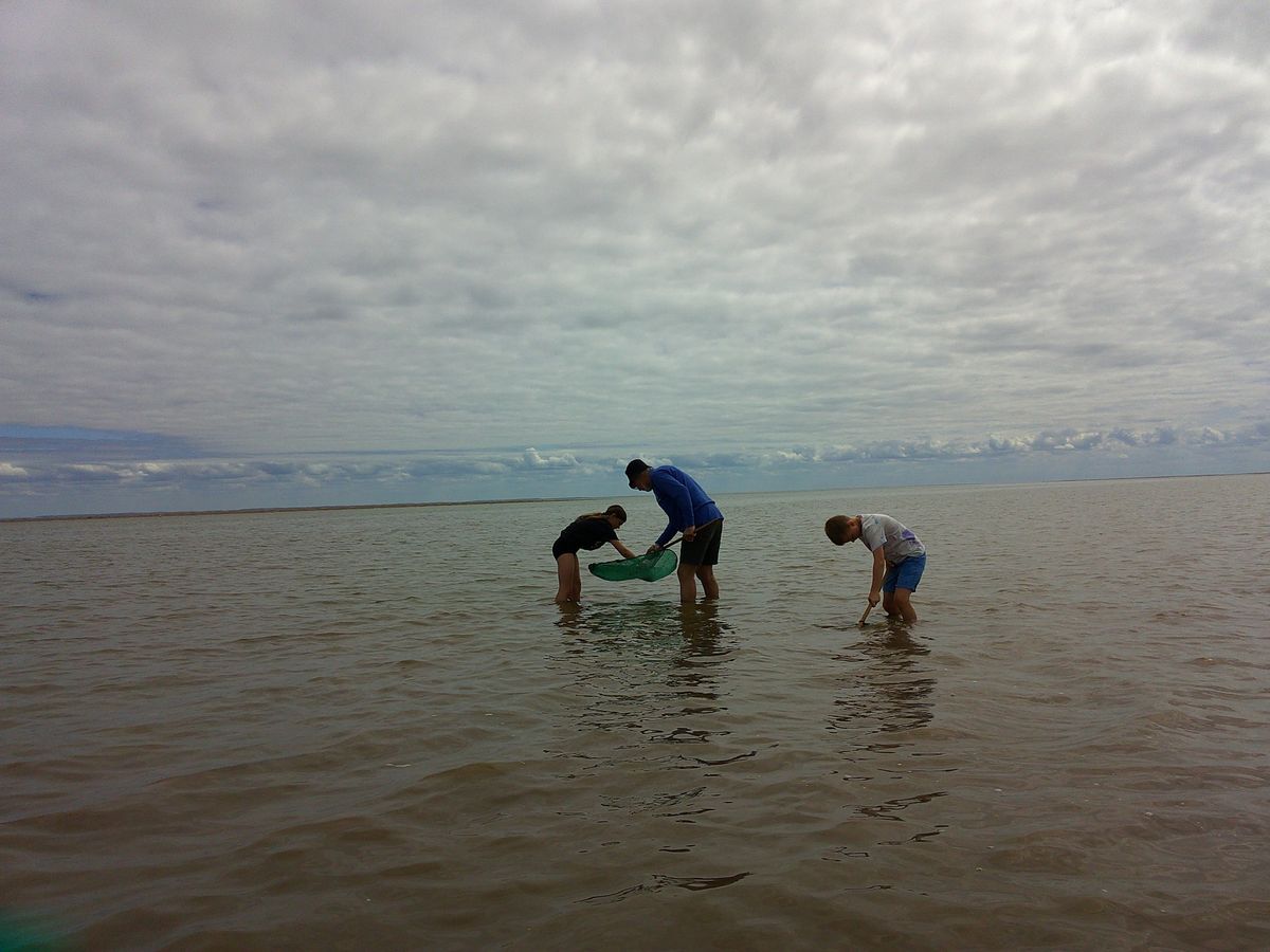 Evening Sea Dipping