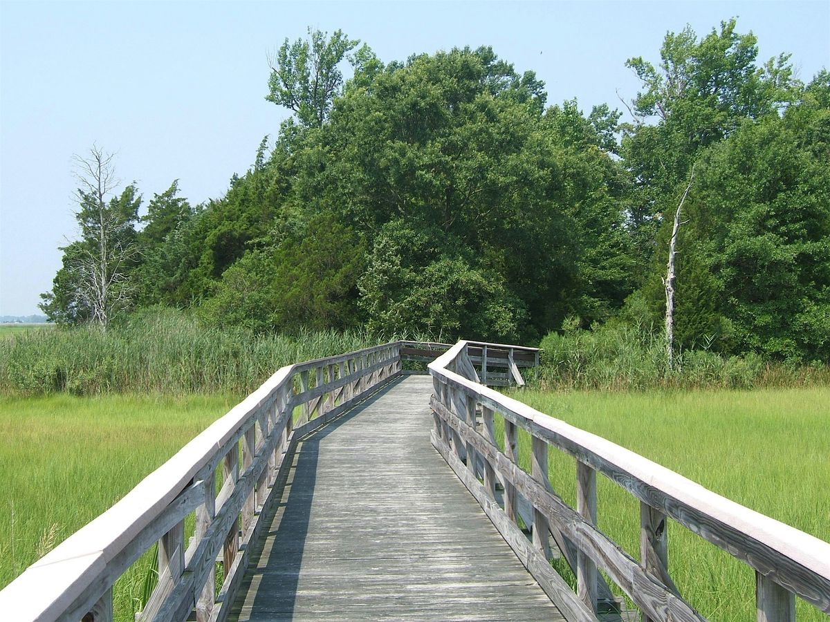 Earth Month Marsh Hike