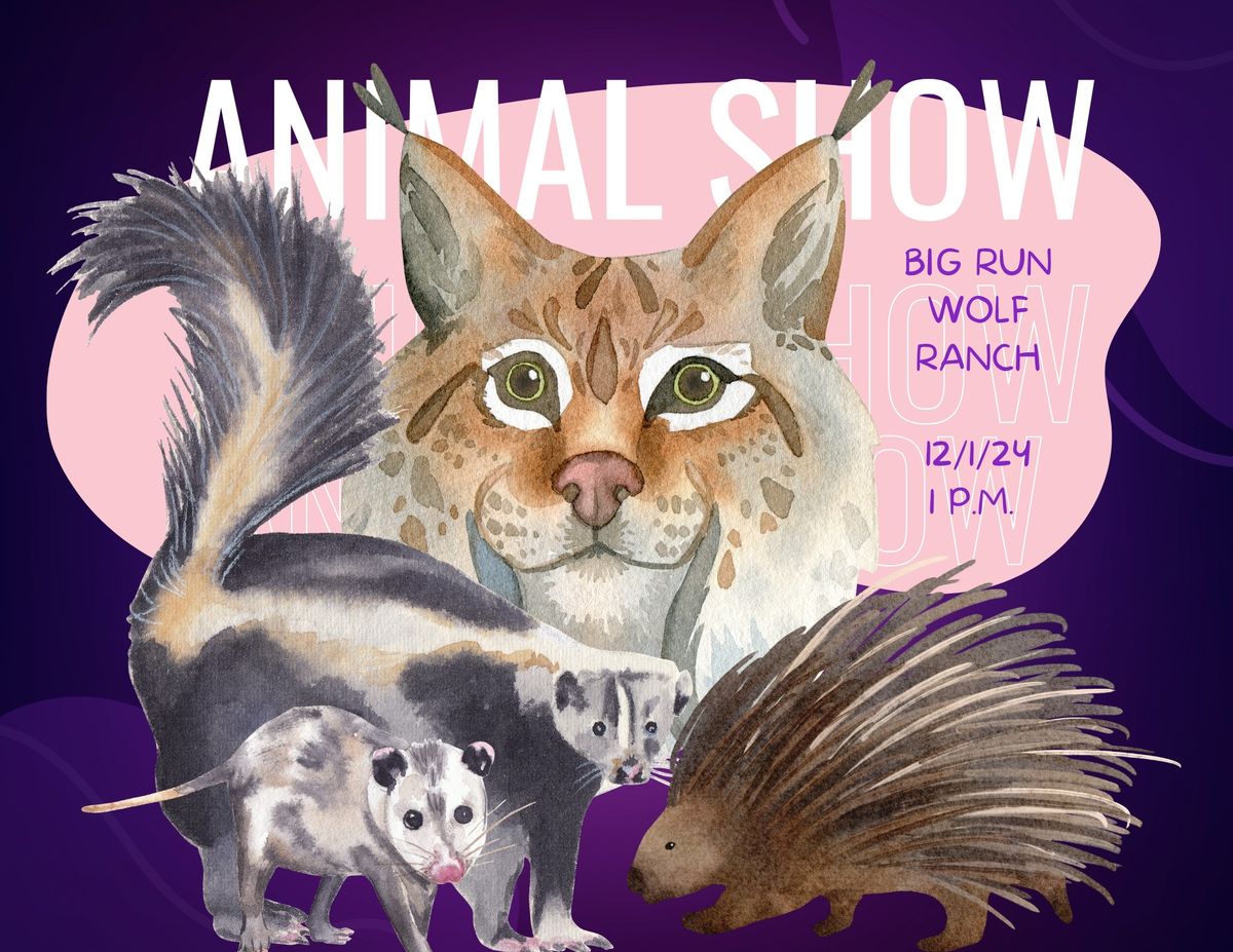 Big Wolf Run Ranch, Live Animal Shows and Education-Limited Seating