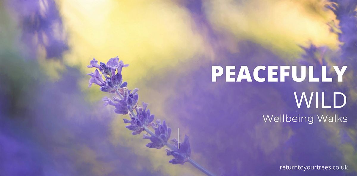 PEACEfully Wild Wellbeing Walks \u2013 Session 8 \u2013 Wild and Free