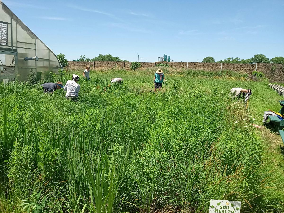 Rain Garden Planting Event at Indy Urban Acres