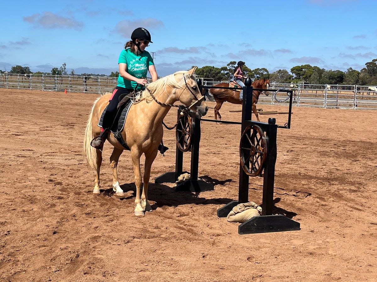 Ranch Training Day