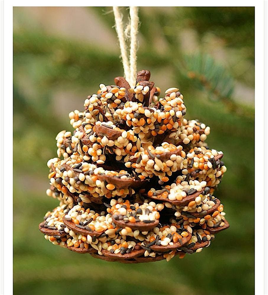 Critter Crafts: Birds & Bird Feeders