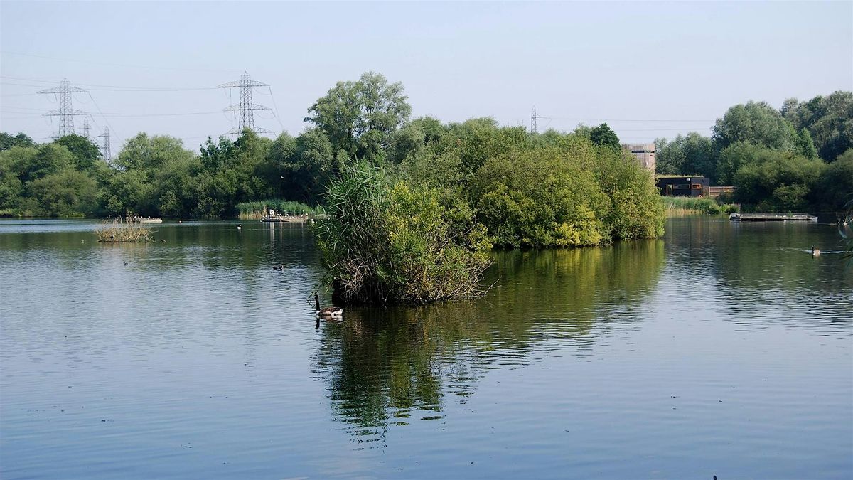 Birding at Fishers Green hide and surrounding footpaths