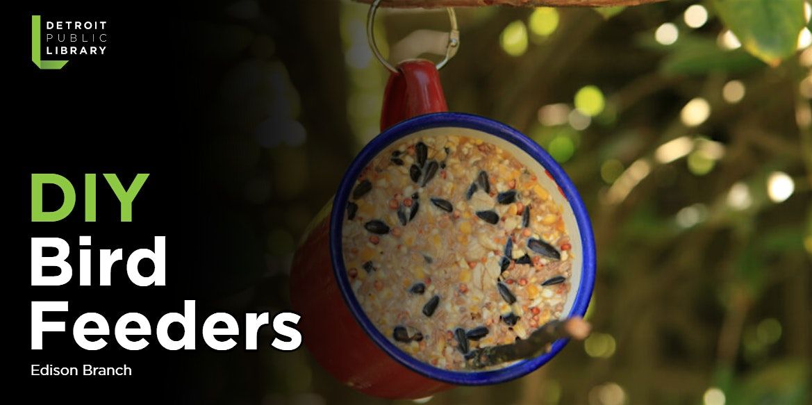 DIY Bird Feeders