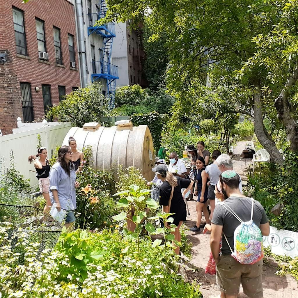 Bee Workshop